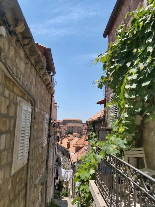 두브로브니크 House Marija In Old Town 아파트 외부 사진